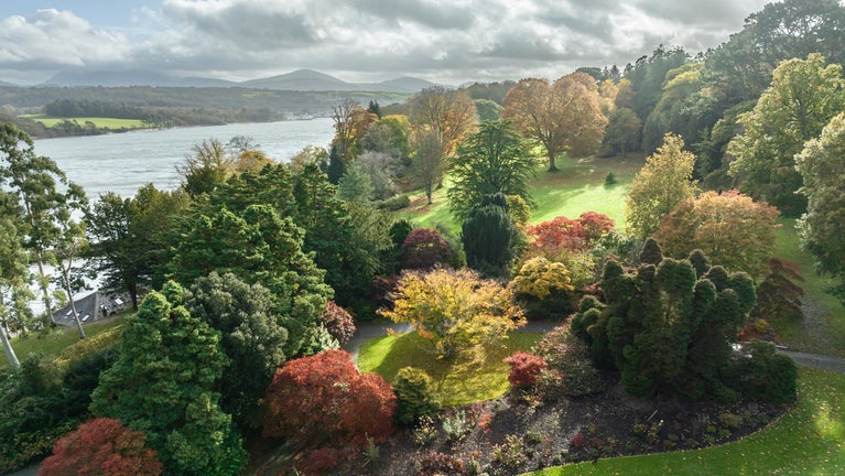 Trees in the garden at Plas Newydd with golden and red leaves in the forefront and the view of mountains and a river in the background